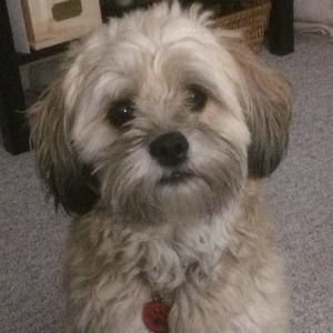 Meet your Posher, Leanne